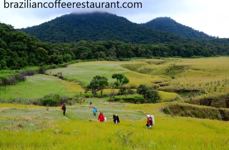Wisata Alam Garut Gunung Papandayan Viral